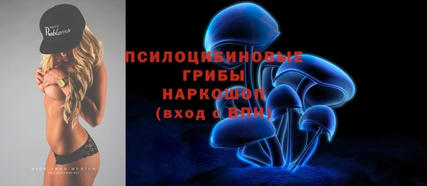 ПСИЛОЦИБИНОВЫЕ ГРИБЫ Абдулино