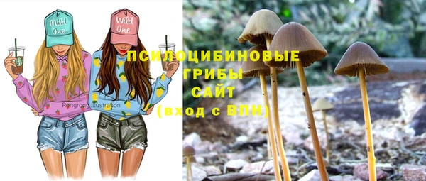 ПСИЛОЦИБИНОВЫЕ ГРИБЫ Абдулино